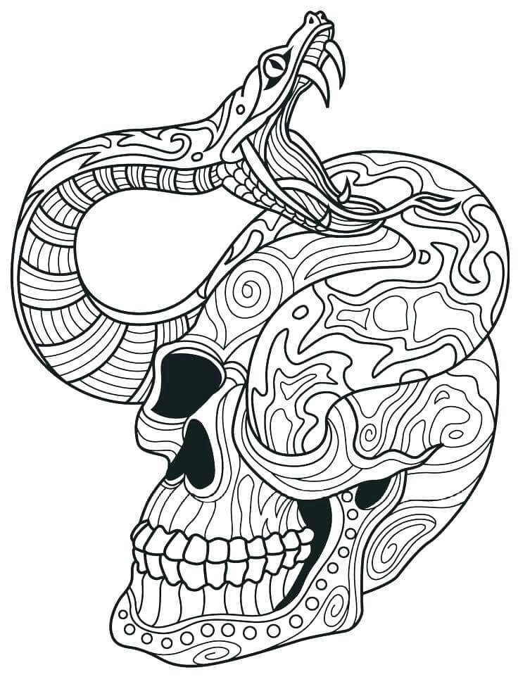 Cráneo para Colorear