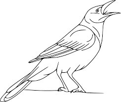 dibujo cuervo cantando para colorear