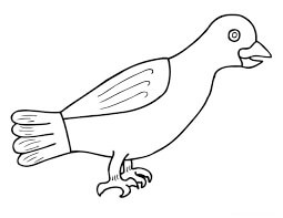 dibujo cuervo perfecto para colorear