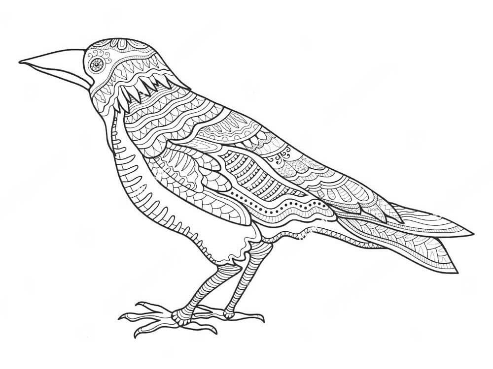 dibujo cuervo zentangle para colorear