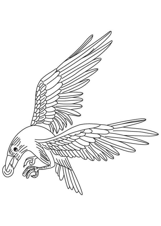 Dibujo de Cuervo Fresco para Colorear y Imprimir