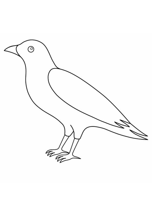 Dibujo de Cuervo Impresionante para Colorear y Imprimir