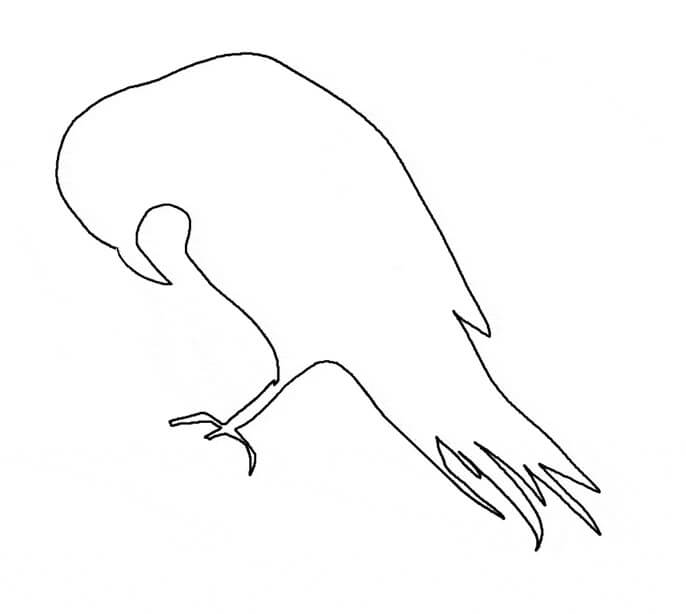 dibujo esquema de cuervo para colorear