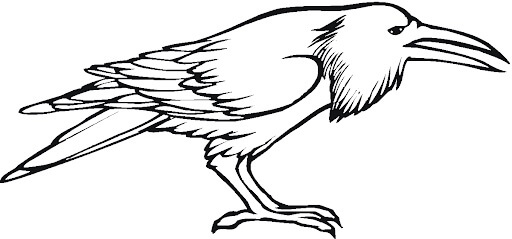 dibujo gran cuervo para colorear
