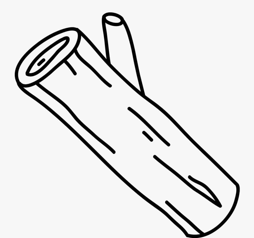 Dibujo de Diario para Colorear y Imprimir
