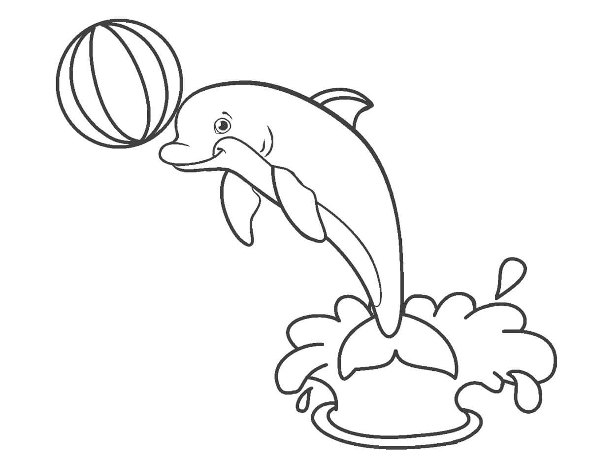 dibujo delfin con pelota para colorear