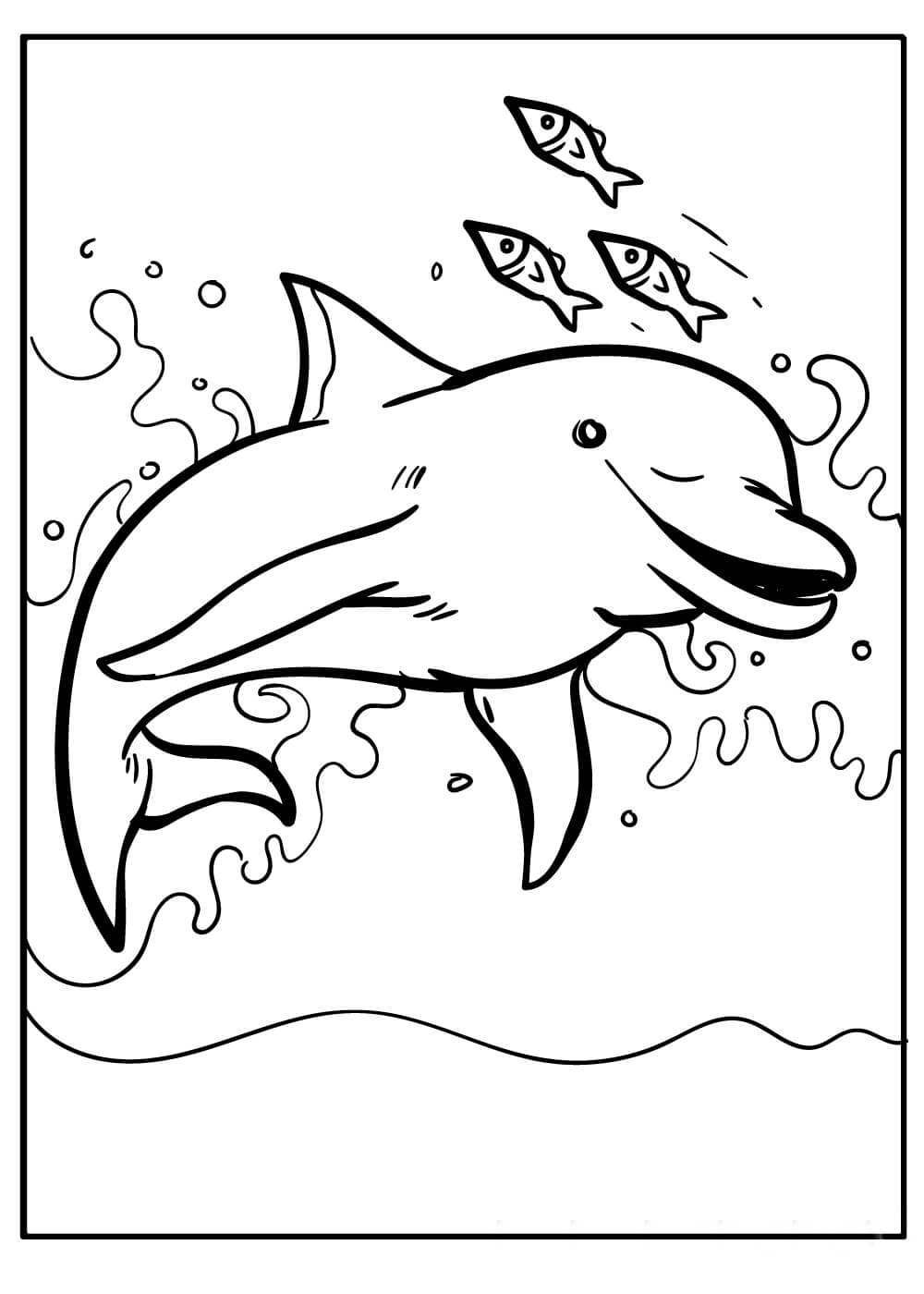 dibujo delfin con tres peces para colorear