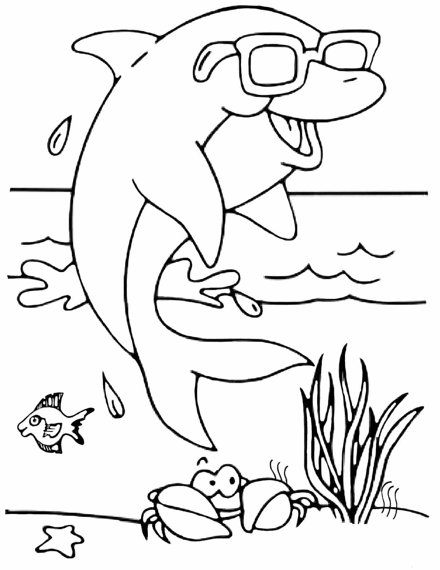 dibujo delfin fresco para colorear