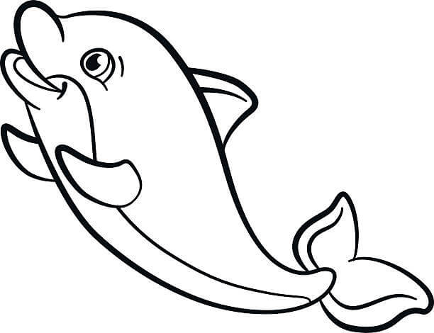 dibujo delfin normal para colorear