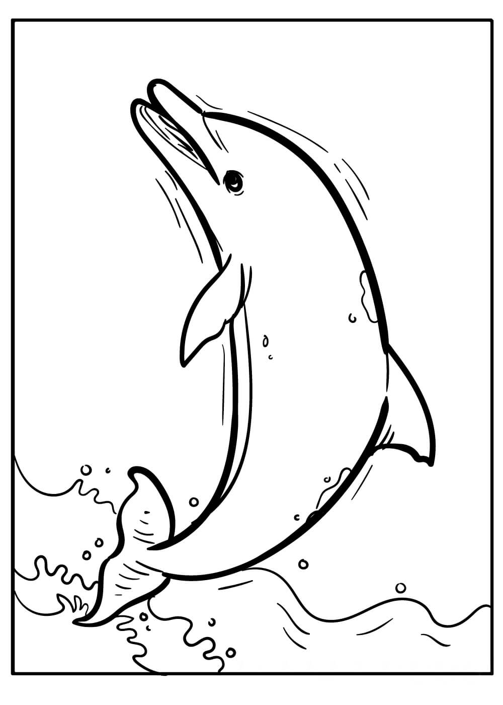 dibujo delfin salto para colorear