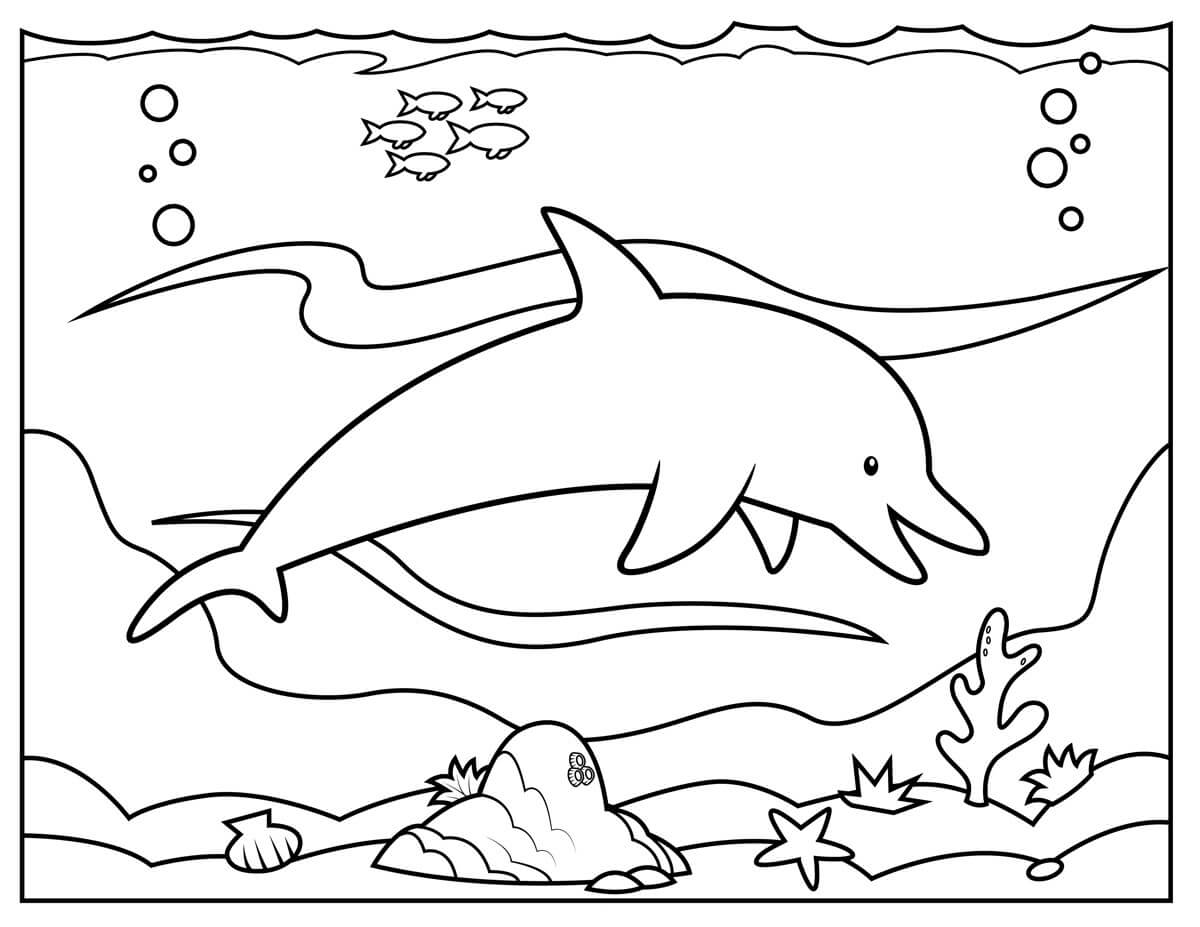dibujo delfin simple para colorear