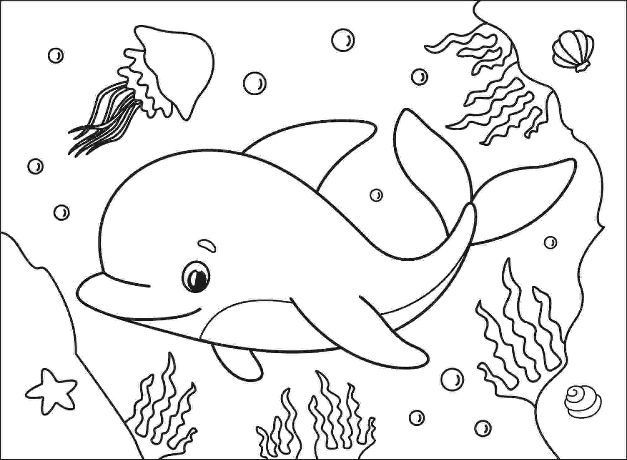 dibujo delfin y dos medusas con vieiras para colorear