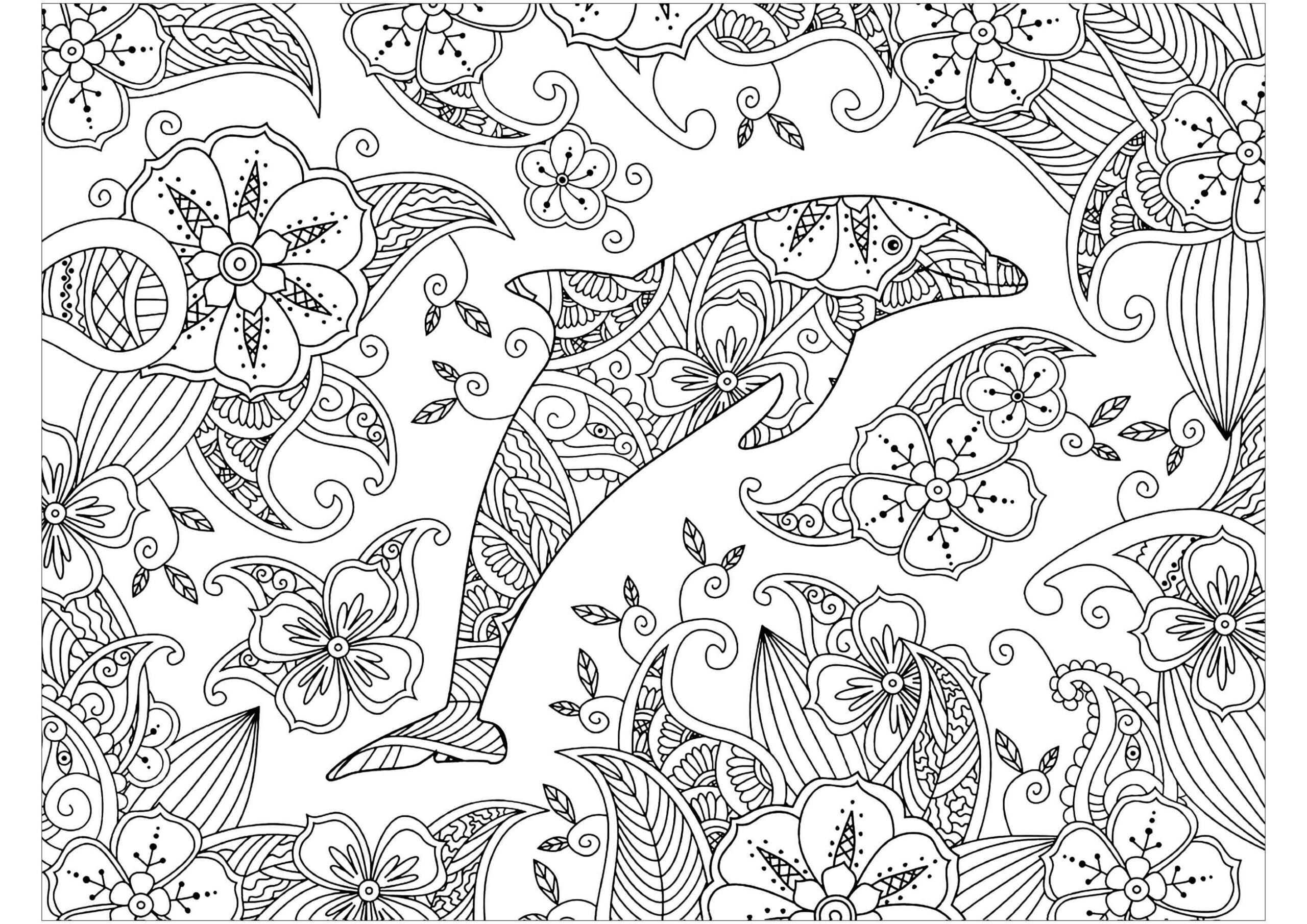 dibujo delfin zentangle para colorear