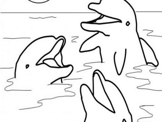 dibujo felices tres delfines para colorear