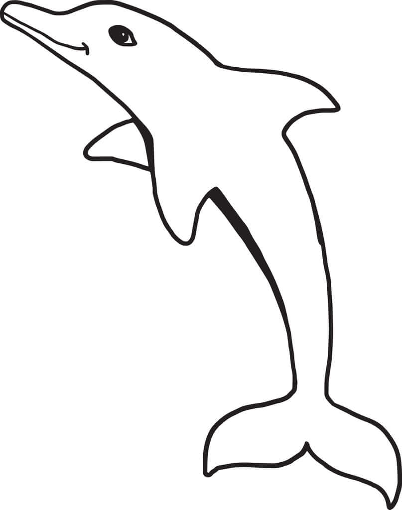 dibujo gran delfin para colorear