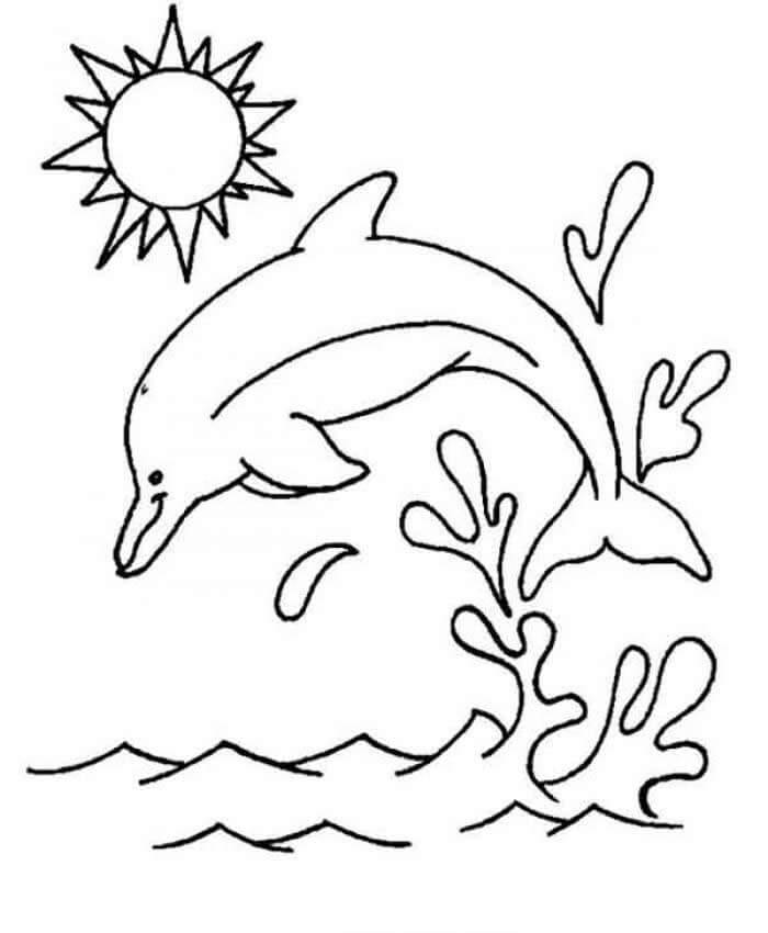 dibujo salto de delfines para colorear