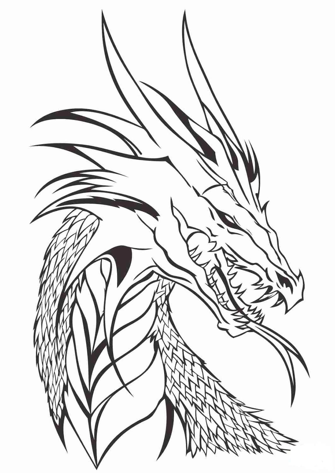 Dibujo Cabeza De Dragon Para Colorear