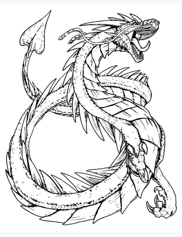 Dibujo Dibujar A Mano Dragon Para Colorear