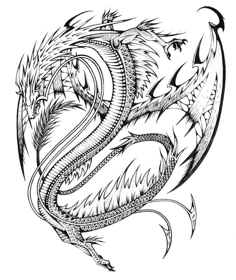 Dibujo Dragon Normal Para Colorear