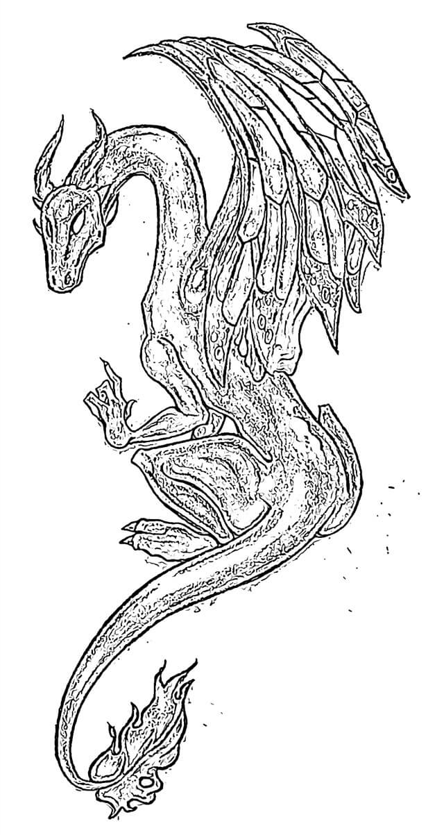 Dibujo Dragon Volador Para Colorear