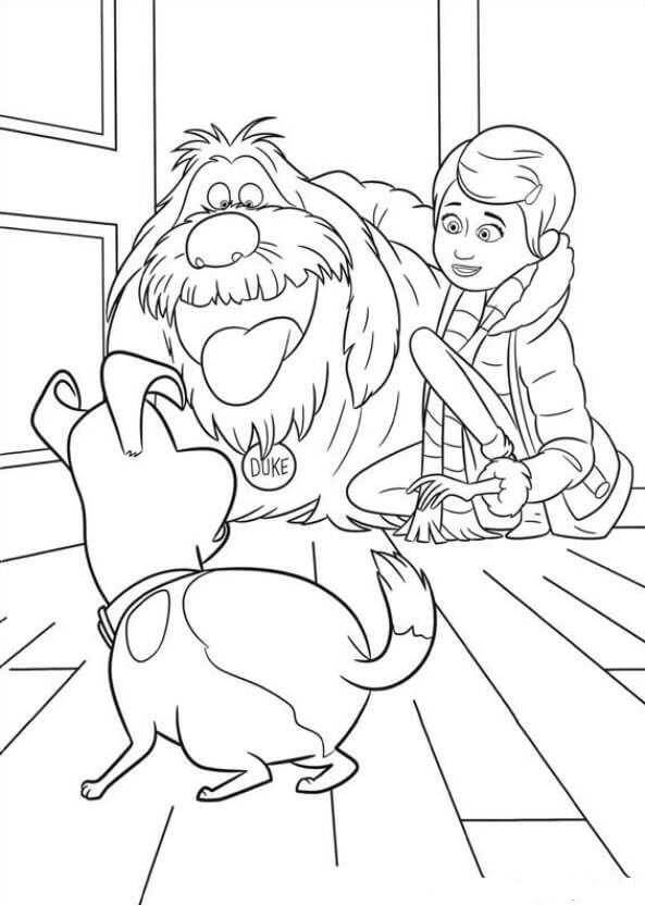 Dibujo de Duke Sorpresa Con Max para Colorear y Imprimir