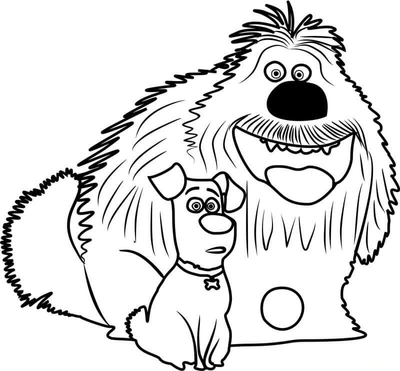 Dibujo de Duke y Max Sentados para Colorear y Imprimir