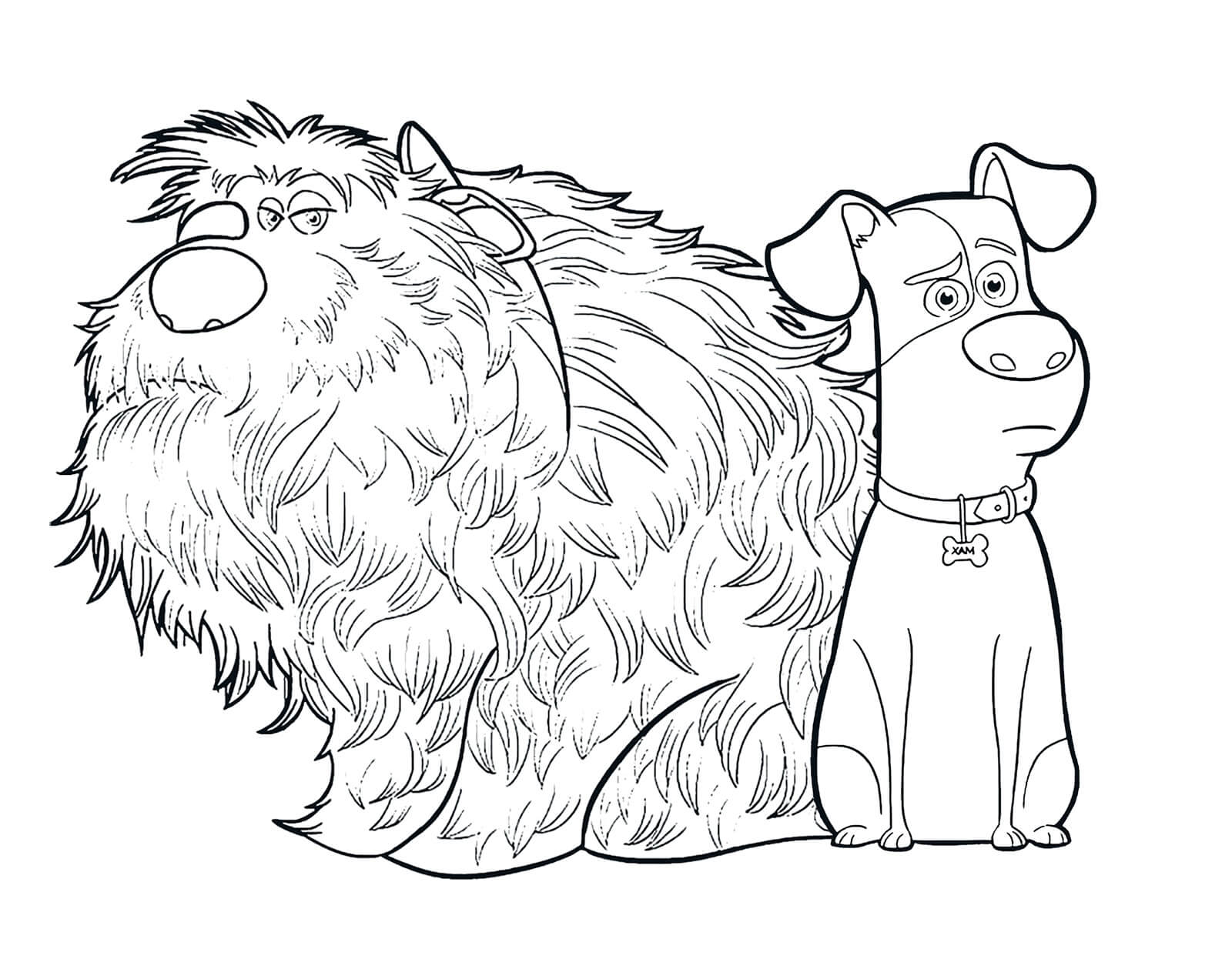 Dibujo de Max y Duke Juntos En Su Casa o para Colorear y Imprimir