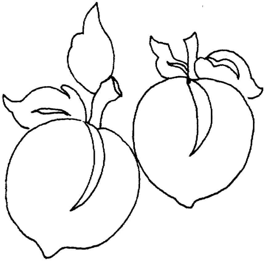 dibujo dos frutas de duraznos para colorear