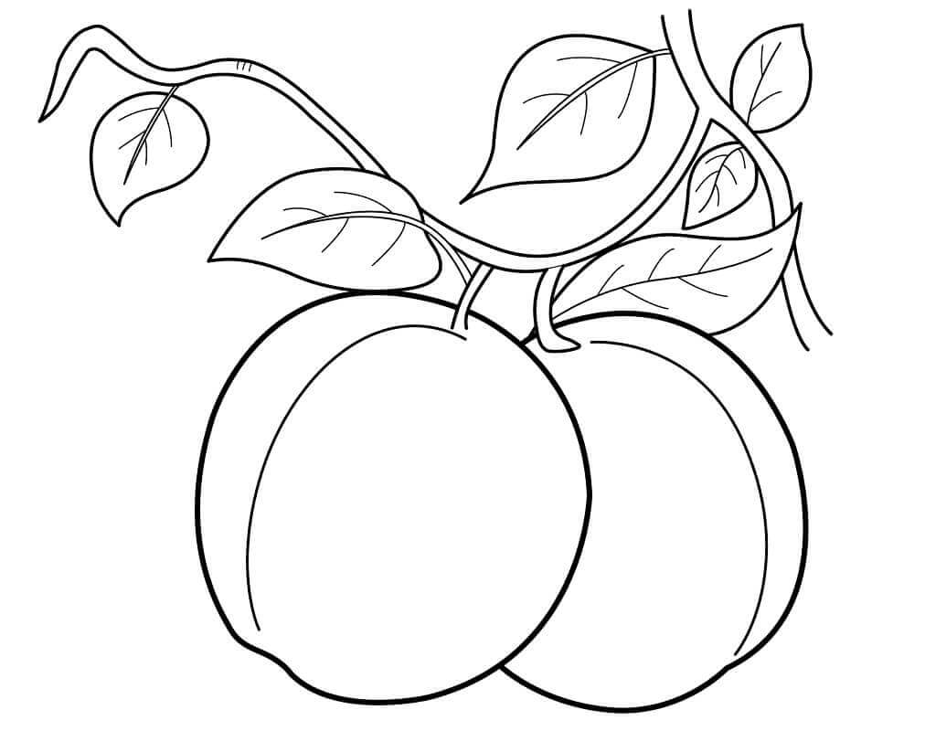 dibujo dos melocotones para colorear