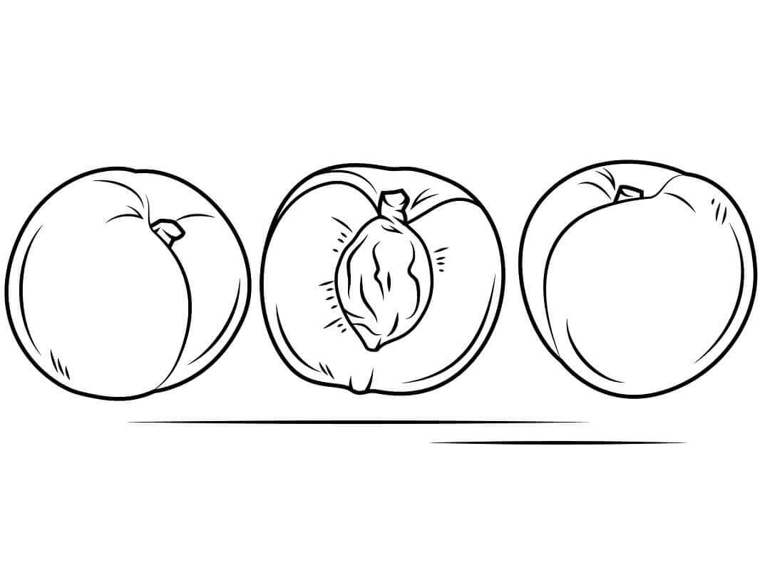 dibujo melocoton basico para colorear