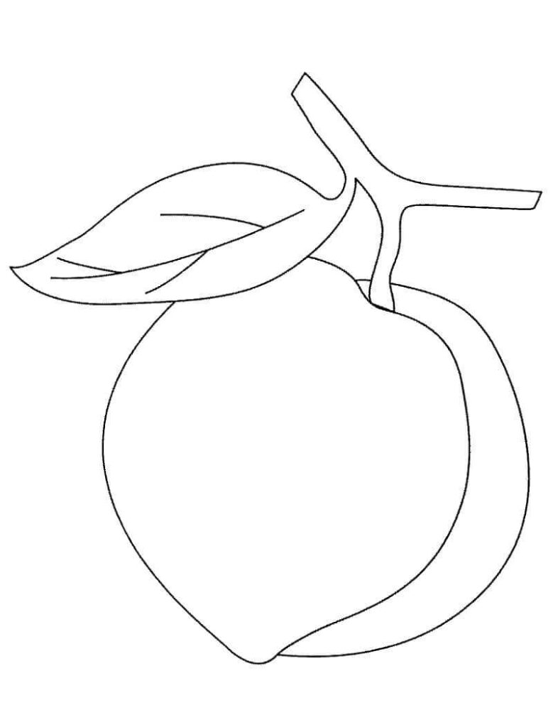 Dibujo Melocoton Simple Para Colorear
