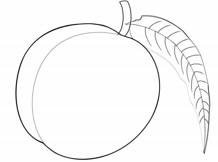 dibujo una fruta de durazno para colorear