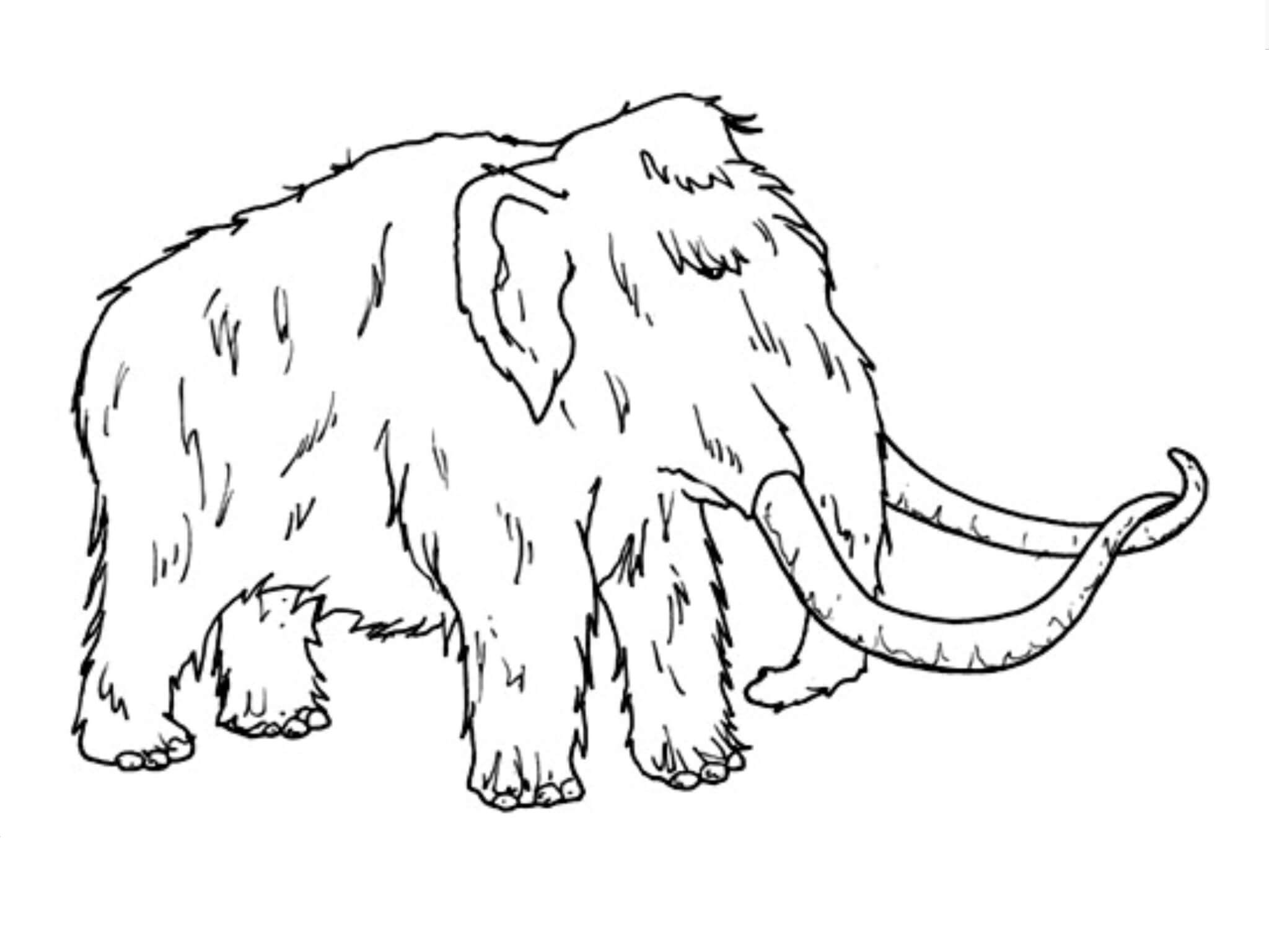 Dibujo de Mamut Antiguo para Colorear y Imprimir