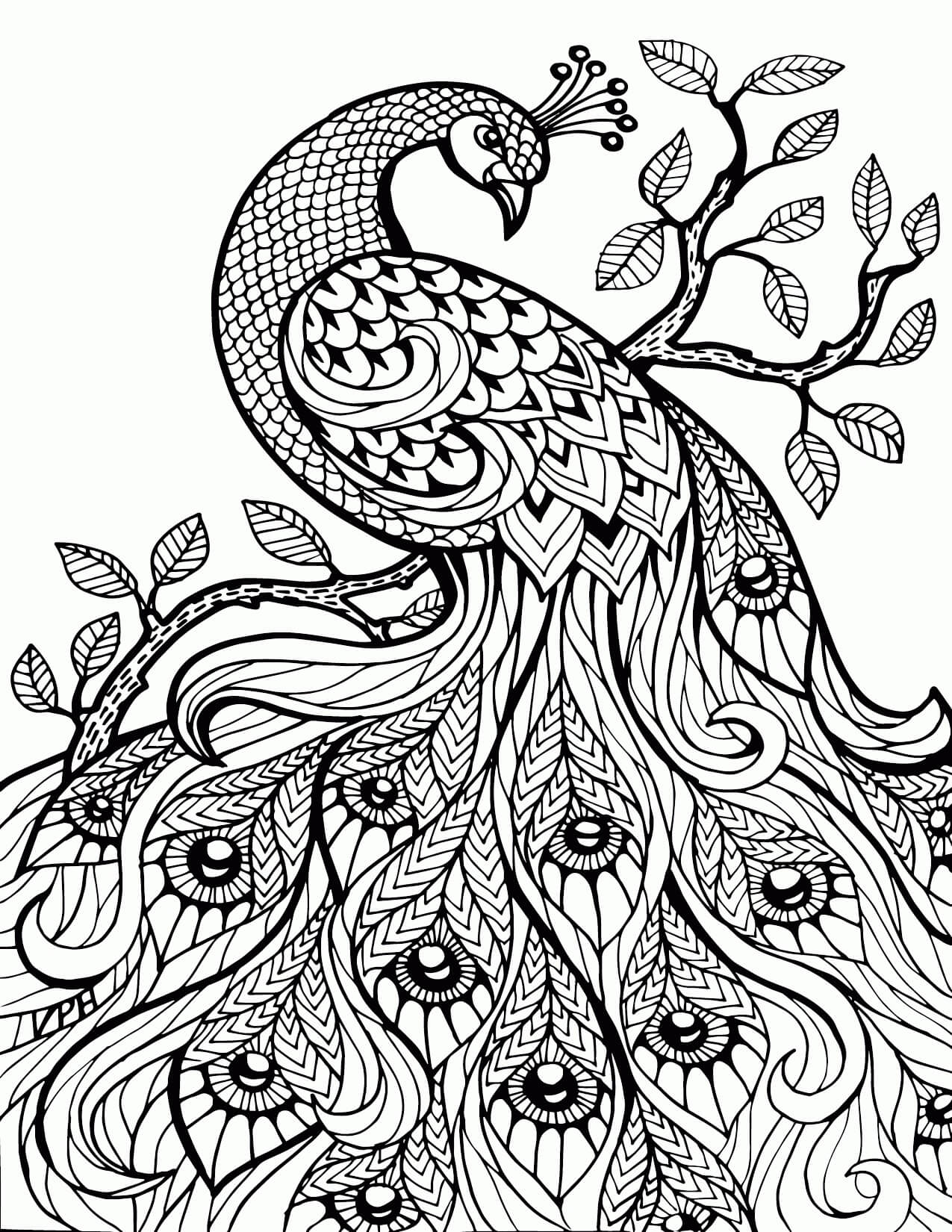Dibujo de Alivio Del Estrés Del Pavo Real para Colorear y Imprimir