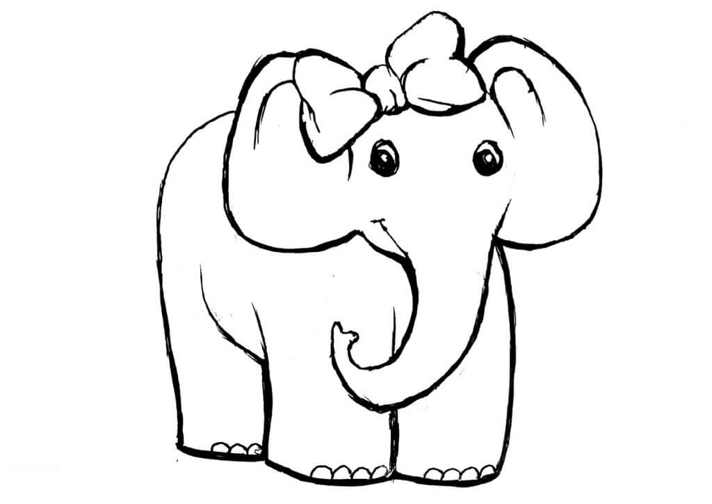 dibujo elefante hembra para colorear