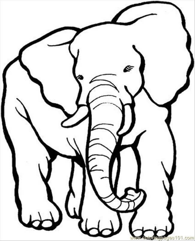 dibujo gran elefante para colorear