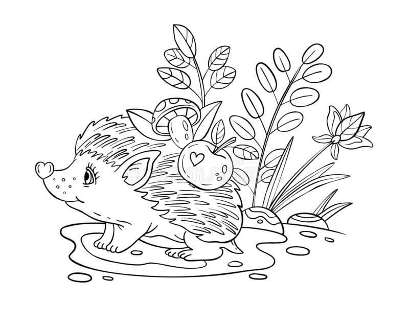 Dibujo de Bebé Erizo Lindo para Colorear y Imprimir