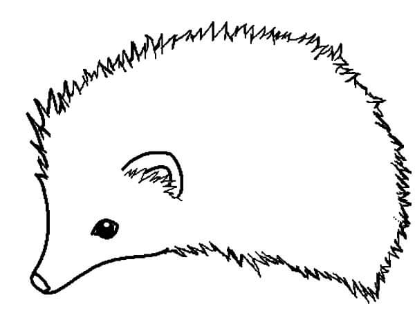 Dibujo de Dibujo Erizo para Colorear y Imprimir