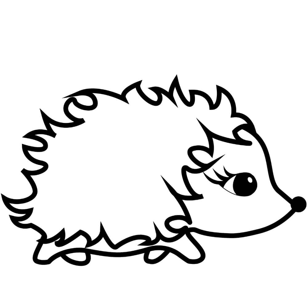 Dibujo de Erizo Asombroso para Colorear y Imprimir