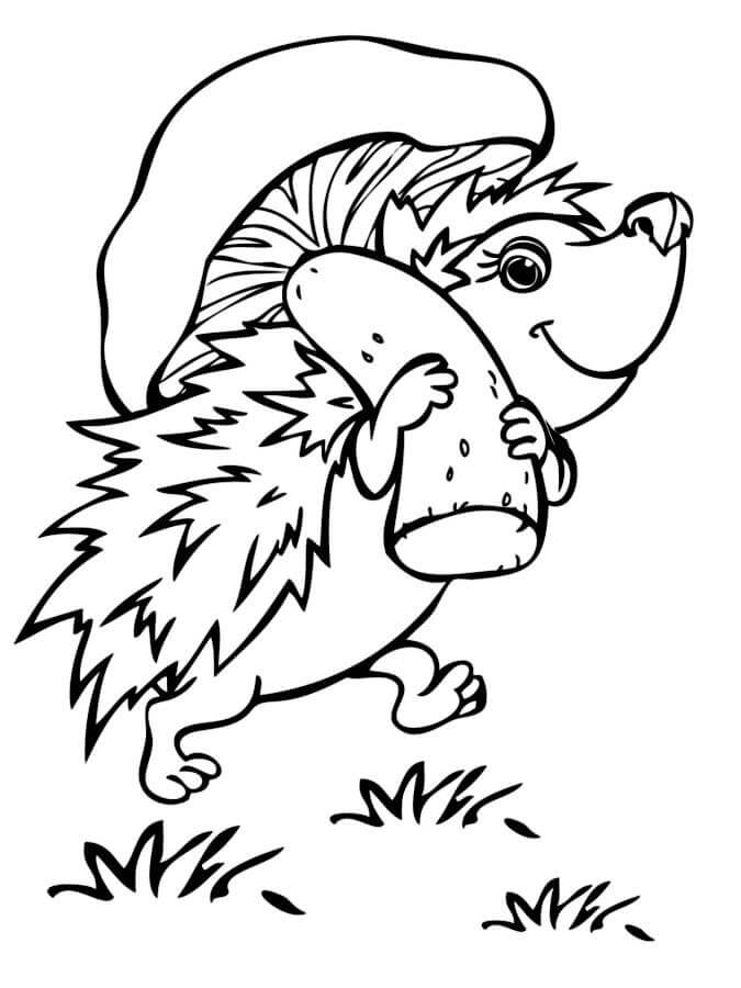 Dibujo de Erizo Con Champinon para Colorear y Imprimir