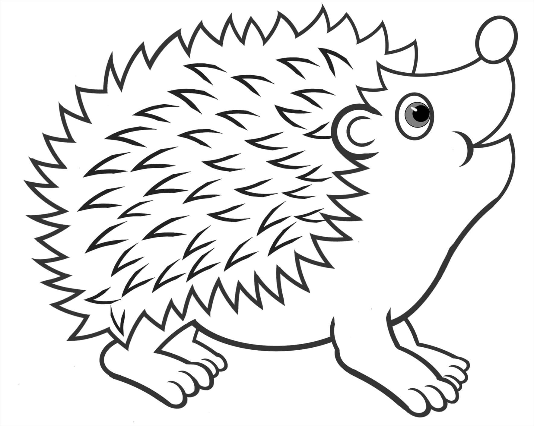 Dibujo de Erizo Divertido para Colorear y Imprimir