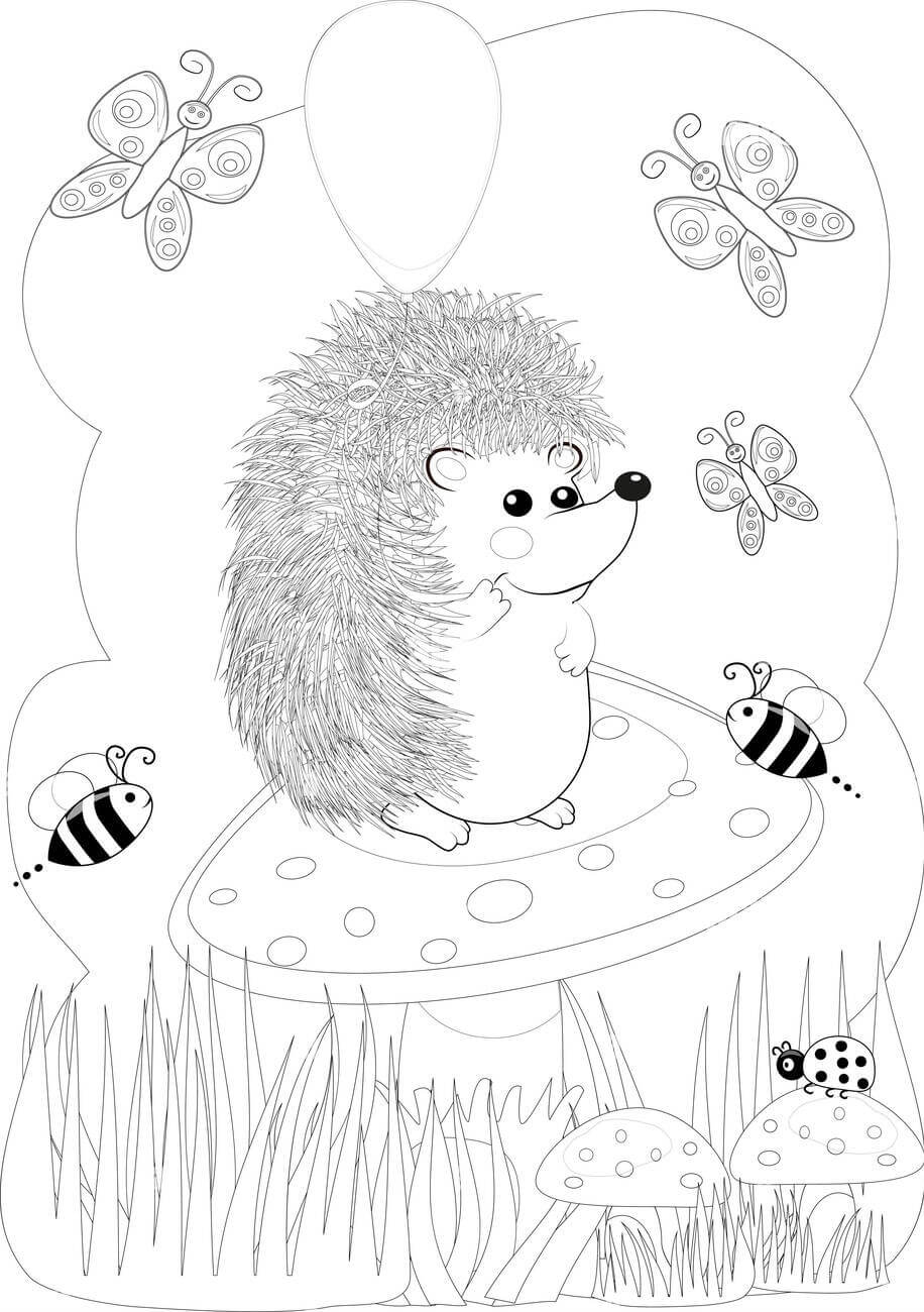 Dibujo de Erizo e Insecto para Colorear y Imprimir