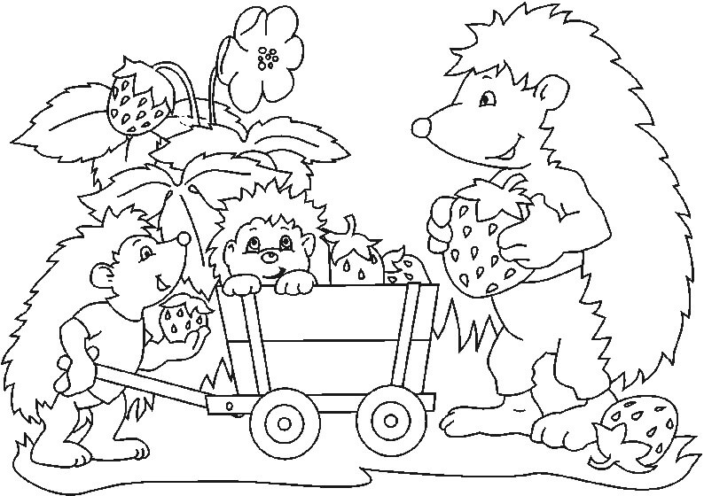 Dibujo de Erizo Familiar para Colorear y Imprimir