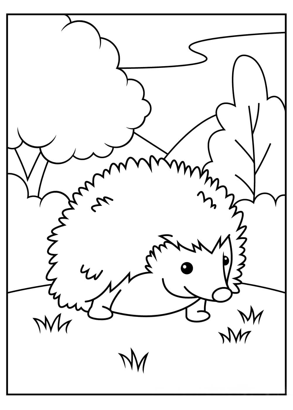 Dibujo de Erizo Grande para Colorear y Imprimir