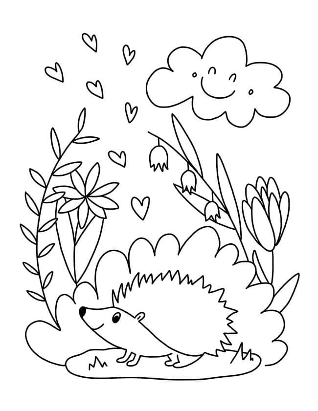 Dibujo de Erizo Imprimible para Colorear y Imprimir