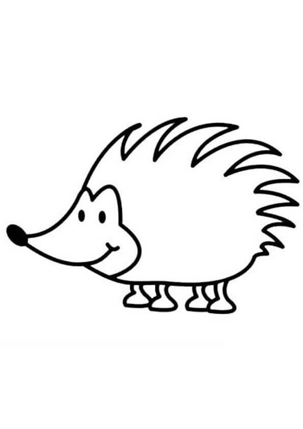 Dibujo de Erizo Normal para Colorear y Imprimir