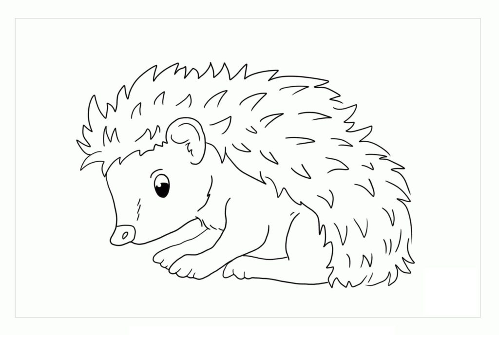 Dibujo de Erizo Perfecto para Colorear y Imprimir