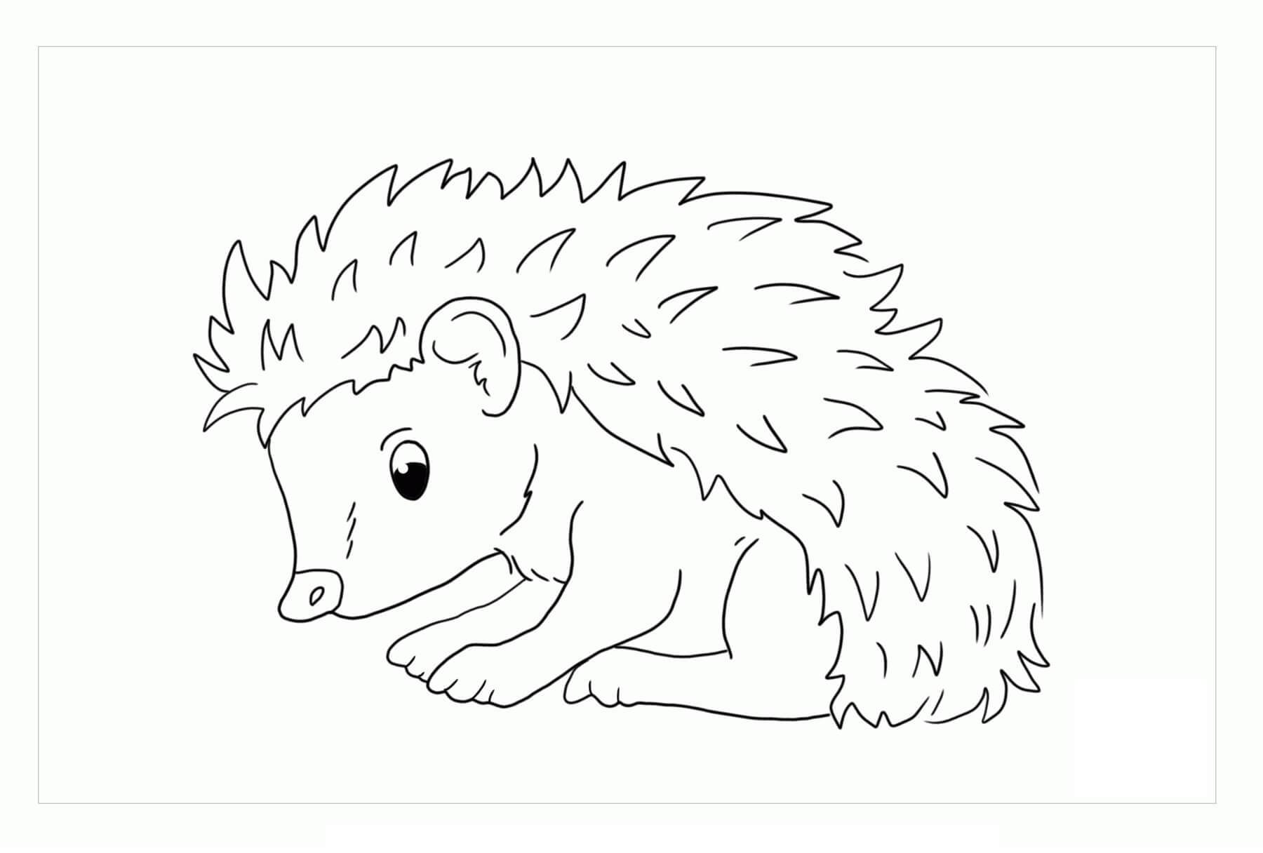 Dibujo de Erizo Perfecto para Colorear y Imprimir