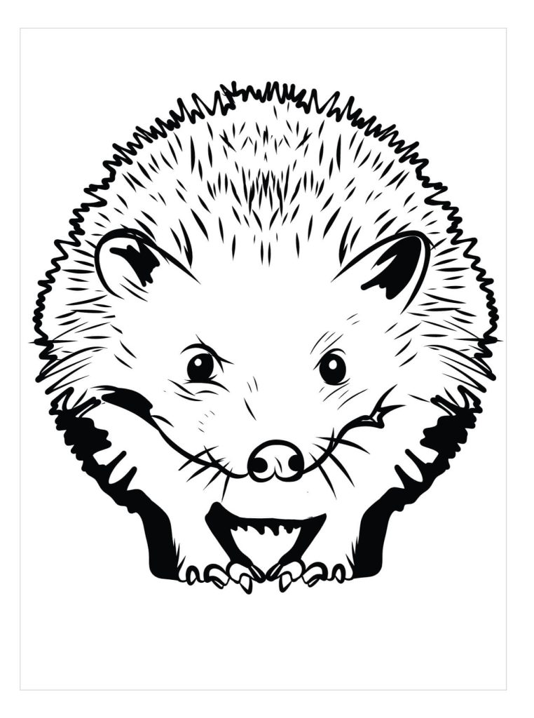 Dibujo de Erizo Realista para Colorear y Imprimir