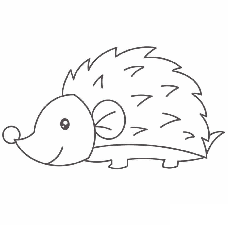 Dibujo de Erizo Simple para Colorear y Imprimir